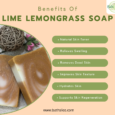 Lime Lemongrass Soap (110g)