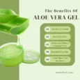 Aloevera Gel For Face & Hair