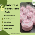 Hibiscus Hair Mask (100g)