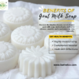 Goat Milk Soap (100g)