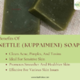 Nettle (Kuppaimeni) Soap(100g)