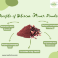 Hibiscus Flower Powder(100g)