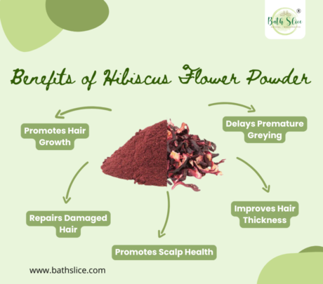 Benefits of Hibiscus Powder (1)