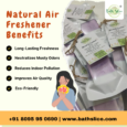 Natural Air Freshener