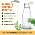 Rosemary Hydrosol (100 grams)