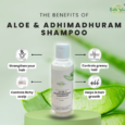 Aloe & Adhimadhuram Shampoo