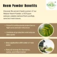 Authentic Neem Powder – 100 grams