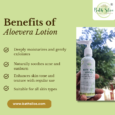 Aloevera Lotion